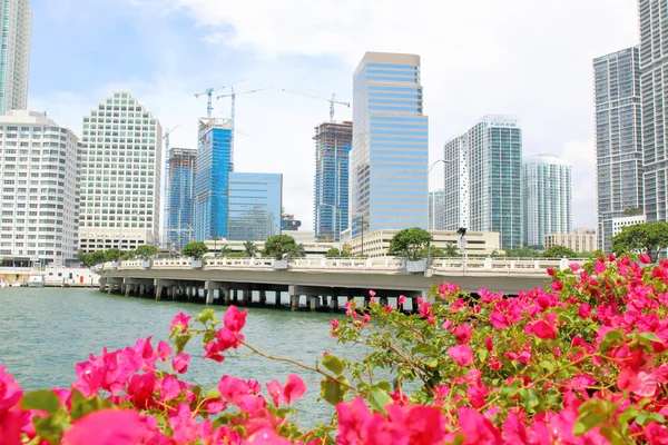 Vista del centro de Miami a lo largo de la bahía de Biscayne desde Brickell Key — Foto de Stock