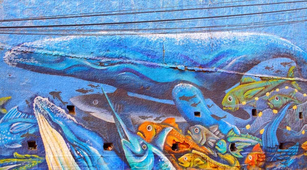 VALPARAISO - JUNHO 10: Grafite de arte de rua em Valparaíso, Chile — Fotografia de Stock