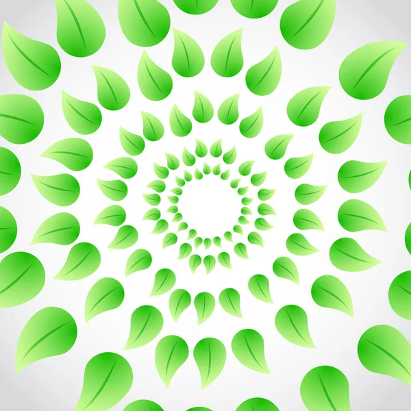 green leaves circular illustration