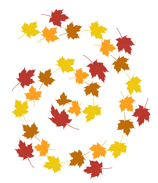 Conjunto de hojas de otoño sobre un fondo blanco . — Foto de Stock