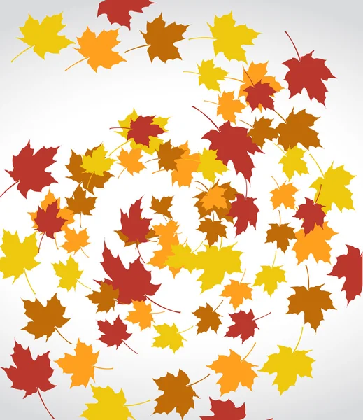 Reihe von Herbstblättern auf weißem Hintergrund. — Stockfoto
