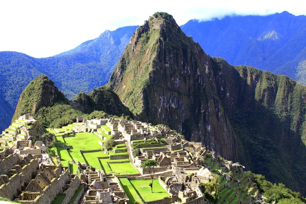 Вид на Мачу-Пикчу, Перу с Вайной-Пикчу — стоковое фото