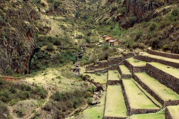 Αρχαία γεωργική αίθρια της ιερής κοιλάδας Pisac στο Περού — Φωτογραφία Αρχείου