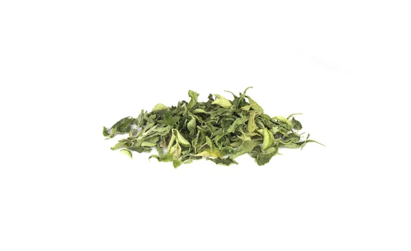 Stevia rebaudiana — Stok fotoğraf