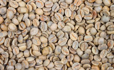 Yeşil kahve çekirdekleri