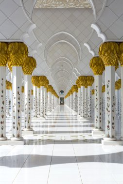 Abu Dabi 'deki Şeyh Zayed camii.