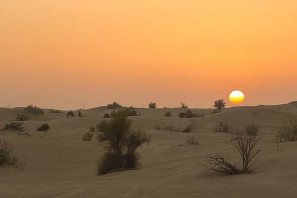 Désert de dunes de sable près de Dubaï aux EAU — Photo