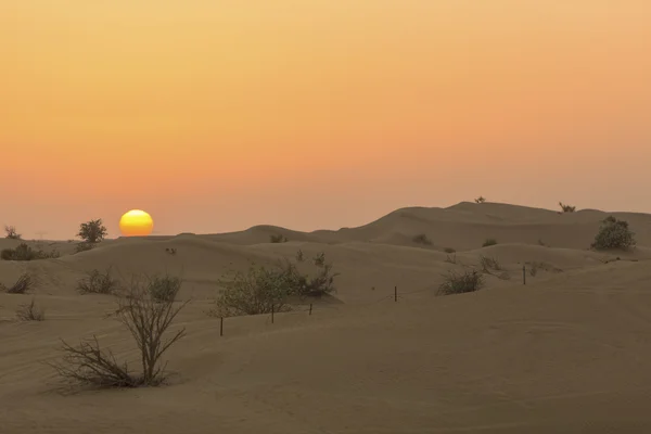 UAE Dubai yakınındaki kum tepeleri çöl — Stok fotoğraf