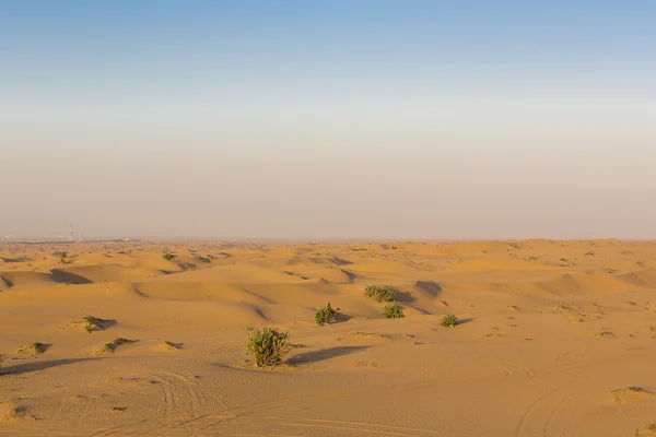 Désert de dunes de sable près de Dubaï. Émirats arabes unis — Photo