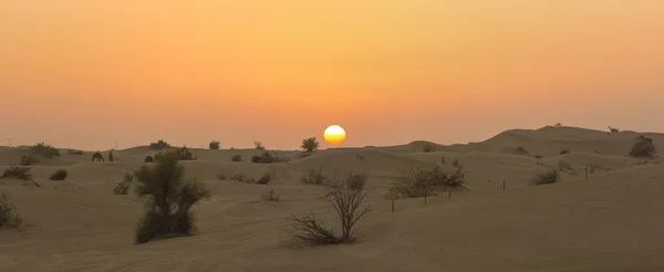 Gün batımı ile Dubai yakınlarındaki kum tepeleri çöl. Birleşik Arap Emirlikleri — Stok fotoğraf