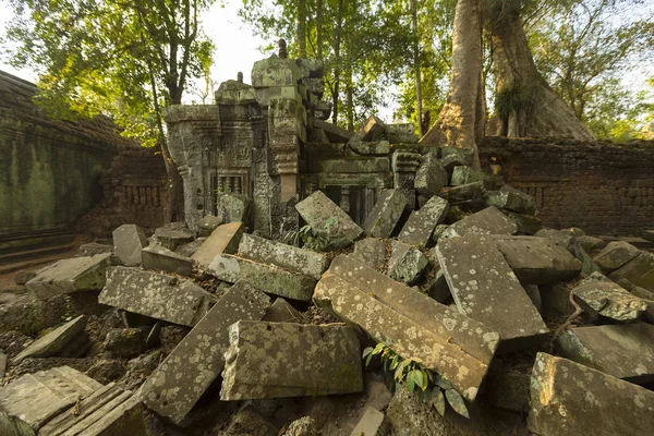 Árvore na parede de pedra de Prasat Ta Prohm Templo em Angkor Thom — Fotografia de Stock