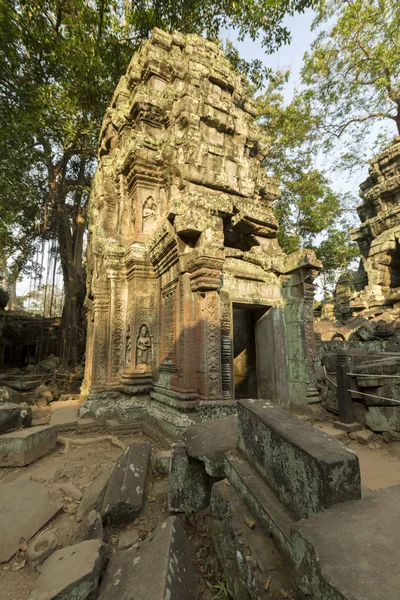 Ta Prohm, antiguo templo en la selva en Angkor, Camboya — Foto de Stock