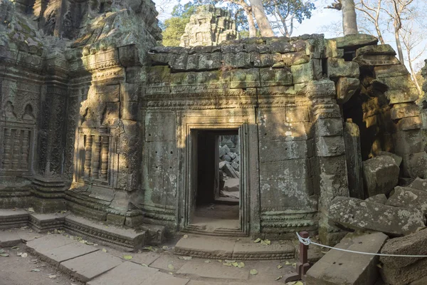 Ta prohm, uralter Tempel im Dschungel in Angkor, Kambodscha — Stockfoto
