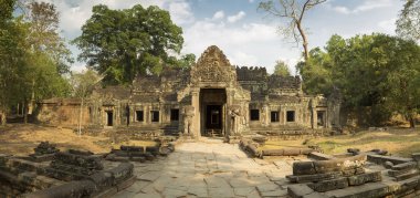 Preah Khan Tapınağı ağaçlar, Kamboçya'da Unesco mirası.