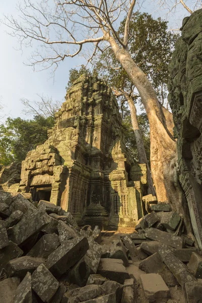 Treppen im ta keo angkor Tempel, Unesco-Stätte in Kambodscha — Stockfoto