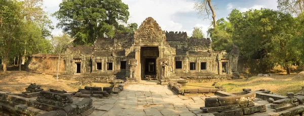 Preah Khan Tapınağı ağaçlar, Kamboçya'da Unesco mirası.