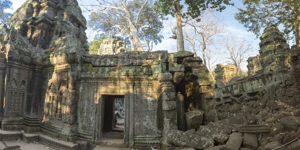 Ta Prohm, antiguo templo en la selva en Angkor, Camboya —  Fotos de Stock