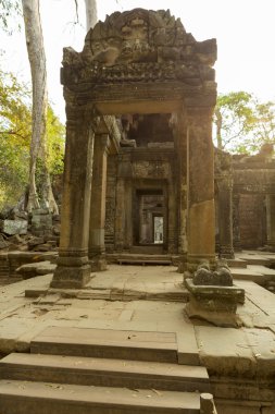 Ayrıntılarını Prasat Ta Prohm Tapınağı Angkor Thom, Cambodia