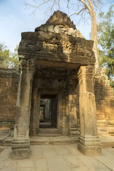Detaljer för Prasat Ta Prohm-templet i Angkor Thom, Kambodja — Stockfoto