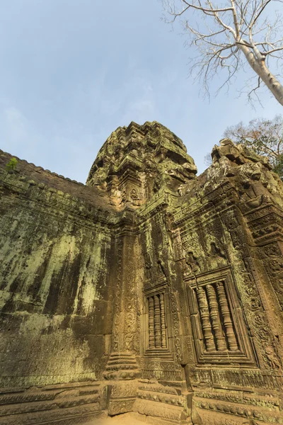 Detaljer för antika Prasat Ta Prohm-templet i Angkor, Kambodja — Stockfoto