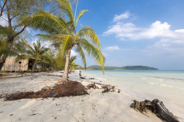 Ko Rong içinde kum ve palm tre tropikal plaj deniz dalga ile