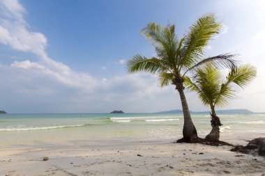 Ko Rong içinde kum ve palm tre tropikal plaj deniz dalga ile
