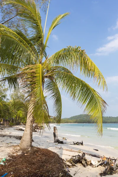 Plage tropicale à Ko Rong avec vague de mer sur le sable et le palmier tre — Photo