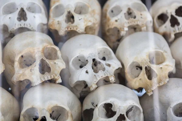 Calaveras y huesos en Killing field, Phnom Penh, Camboya — Foto de Stock