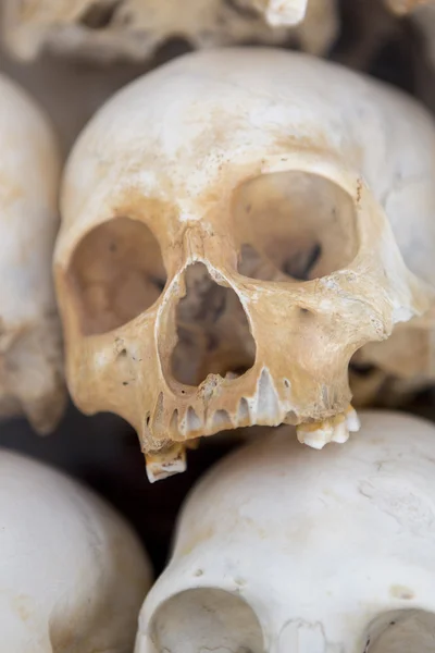 Calaveras y huesos en Killing field, Phnom Penh, Camboya — Foto de Stock