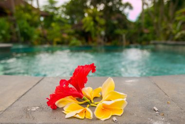 Bali dini teklifleri, swimmin yanında renkli çiçekler