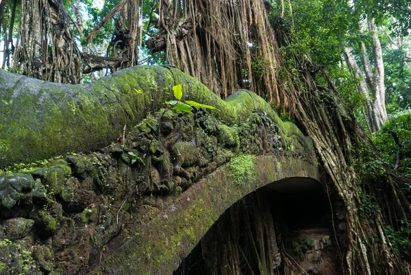 Puente viejo y selva en el Santuario del Bosque del Mono Sagrado, Ubu —  Fotos de Stock