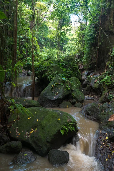 Río y selva en el Sagrado Mono Bosque Santuario, Ubud, Ba — Foto de Stock