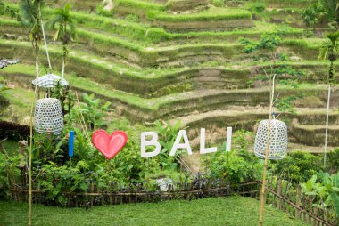 Word I love Bali in terrace fields near Ubud in Bali. Indonesia