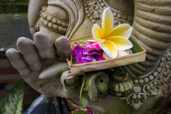 Religiöse Opfergabe in der Hand der Genesh-Statue, bali — Stockfoto