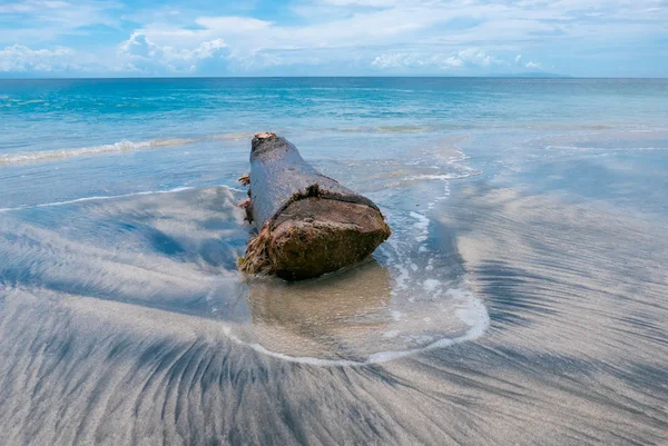 Arbre mort / tronc sur une plage à Candidasa. Île de Bali — Photo