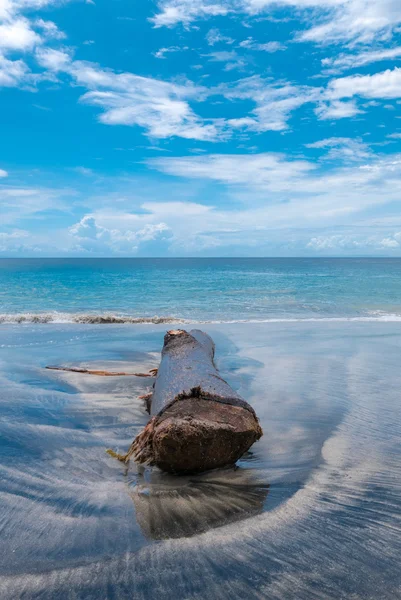 Dead tree / trunk on a beach in Candidasa. Bali Island — Stock Photo, Image