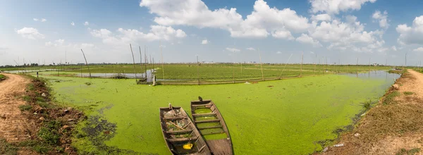 Barcos flotando cerca de campos de arroz con Phnom Penh en el fondo — Foto de Stock