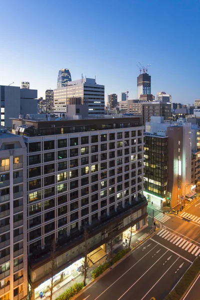 Mrakodrapy v noci a Tokyo Tower — Stock fotografie