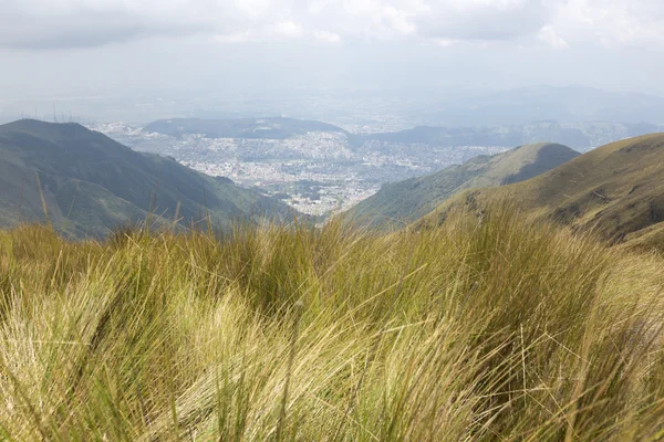 Uitzicht op de berg en Quito in de achtergrond. Ecuador — Stockfoto