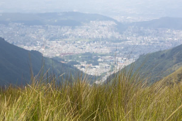 Uitzicht op de berg en Quito in de achtergrond. Ecuador — Stockfoto