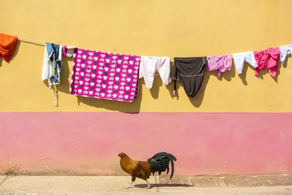 Séchage de vêtements avec fond coloré et poulet, Guatape, Col — Photo