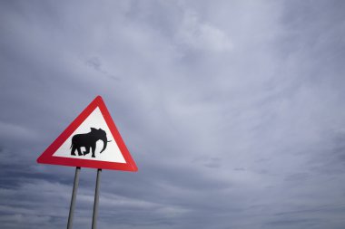 Trafik tehlike fil geçerken yol işaretleri Namibya, Afrika.