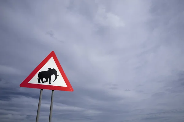 Peligro de tráfico Elefante que cruza la señal de tráfico en Namibia, África . —  Fotos de Stock