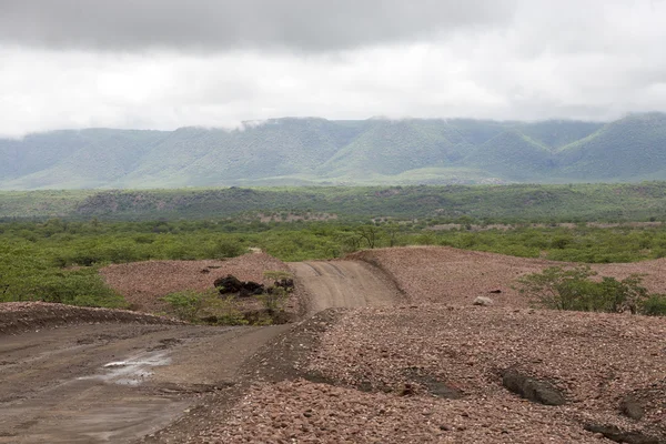 Estrada de terra com céu ameaçador e as montanhas Zebra, Namíbia — Fotografia de Stock