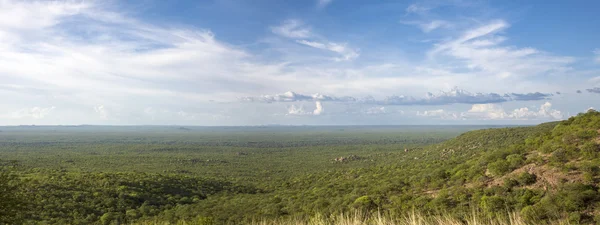 Panorama de Kunene paisagem com floresta, fronteira entre Ang — Fotografia de Stock