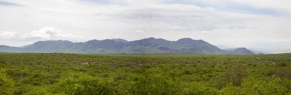 Zebra Mountains in Northern Namibia within the Kunene Region — стокове фото