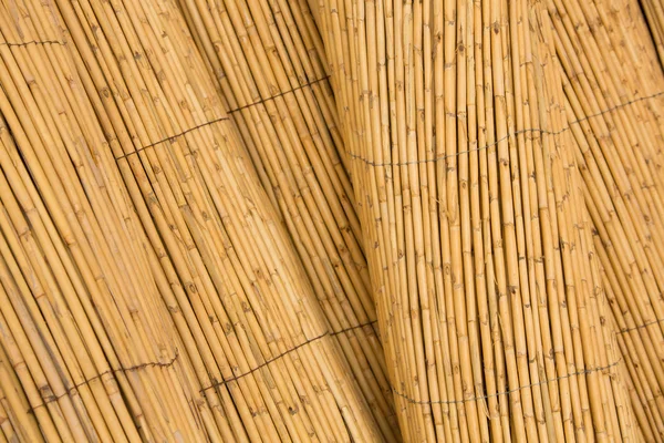 Detalhe de fundo cerca de bambu — Fotografia de Stock