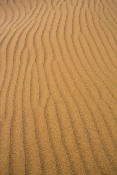 Duinen van tata in de Saharawoestijn, Marokko. — Stockfoto