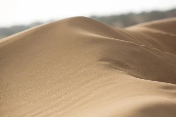 Primer plano de una duna de arena en Sidi Kaouki —  Fotos de Stock