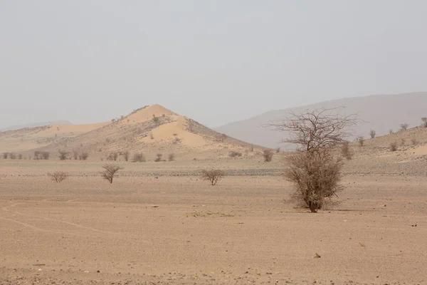 Trockener und heißer Tag in der Wüste von Sahara, Tata — Stockfoto